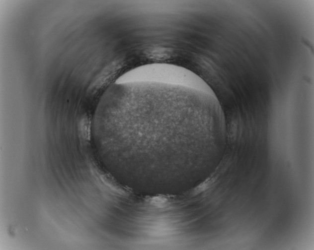 X0000102770180200809081013