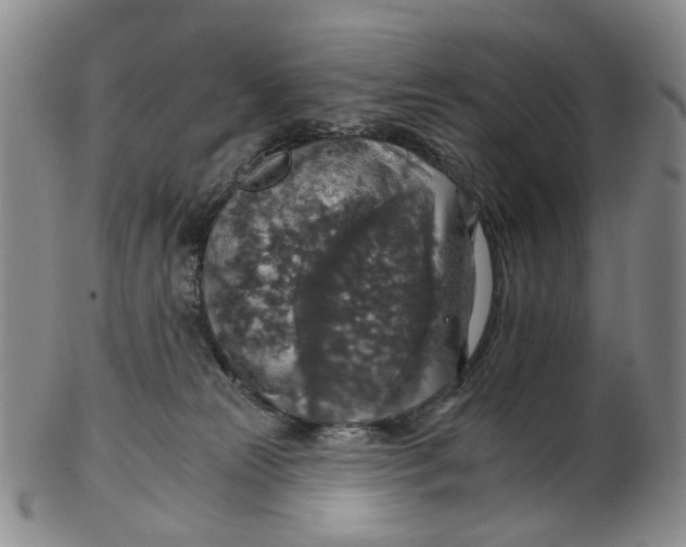 X0000102770181200809081013