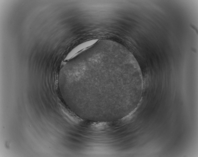 X0000102770186200809081013