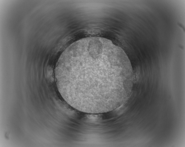 X0000102770187200809081013