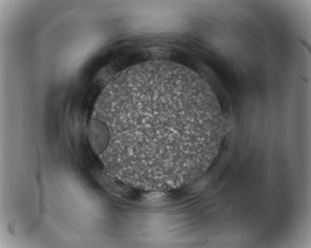 X0000102770189200809081013