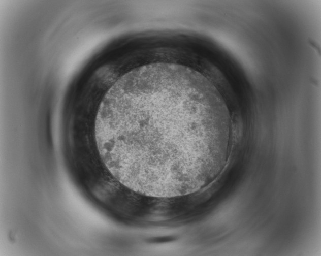 X0000102770191200809081013