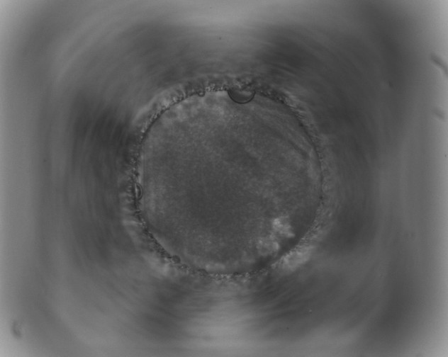 X0000102770192200809081013