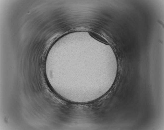 X0000102770193200809081012