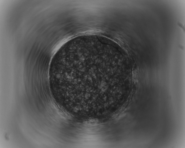 X0000102770196200809081012