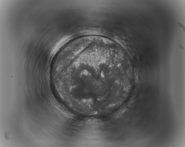 X0000102770199200809081012