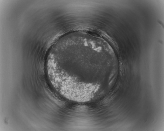 X0000102770203200809081012