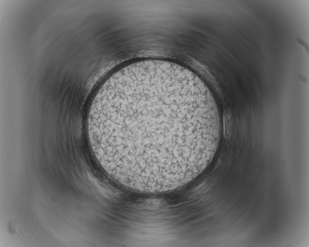 X0000102770204200809081012