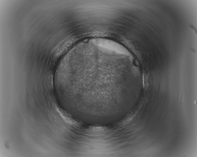 X0000102770205200809081012