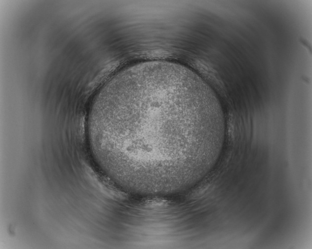 X0000102770206200809081012