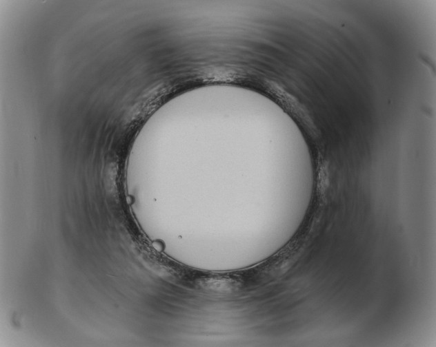 X0000102770209200809081012