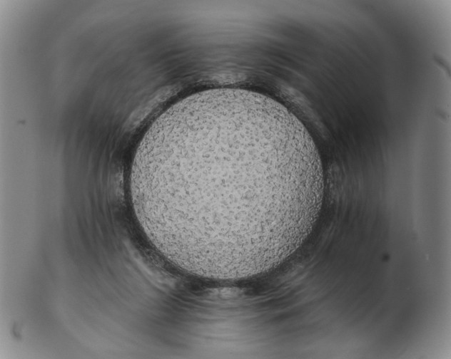 X0000102770212200809081012