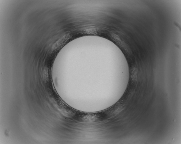 X0000102770213200809081012