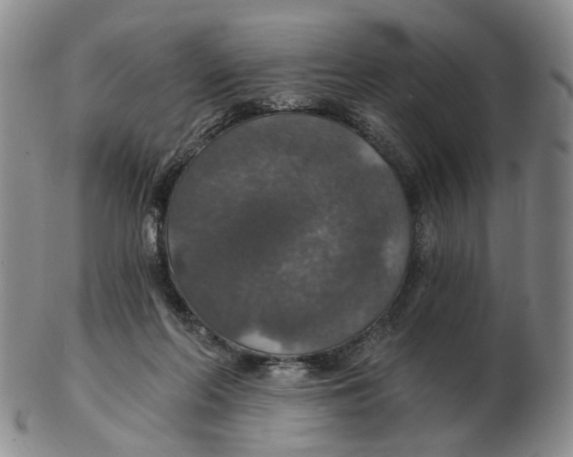 X0000102770214200809081012