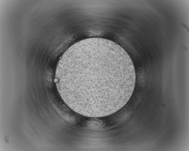 X0000102770215200809081012