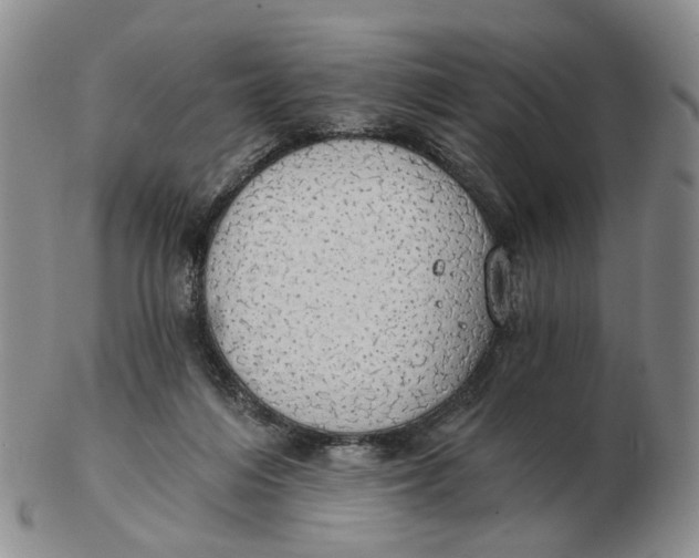 X0000102770216200809081012