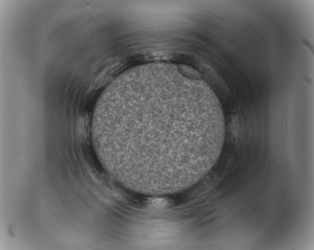 X0000102770218200809081012