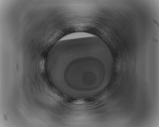 X0000102770219200809081012