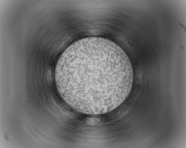 X0000102770220200809081012