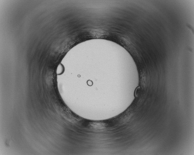 X0000102770221200809081012