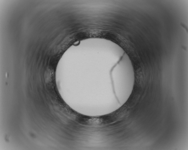 X0000102770225200809081012