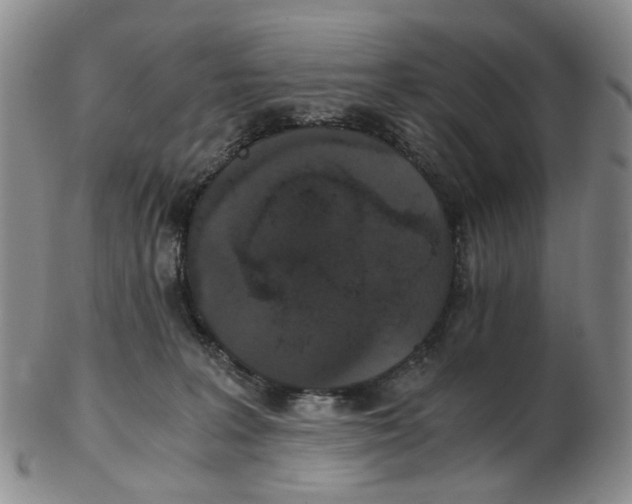 X0000102770227200809081012