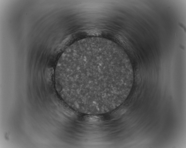 X0000102770229200809081012