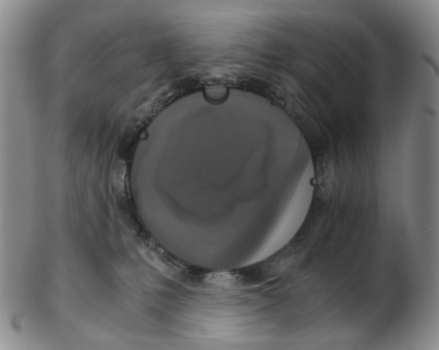 X0000102770231200809081012