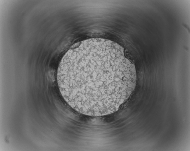 X0000102770232200809081012