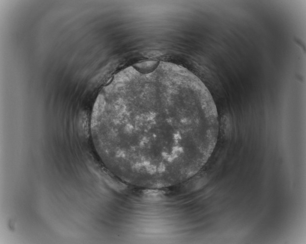 X0000102770234200809081012