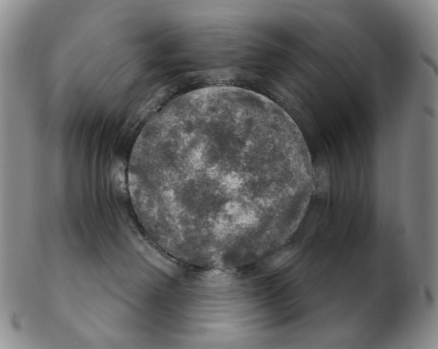 X0000102770238200809081012