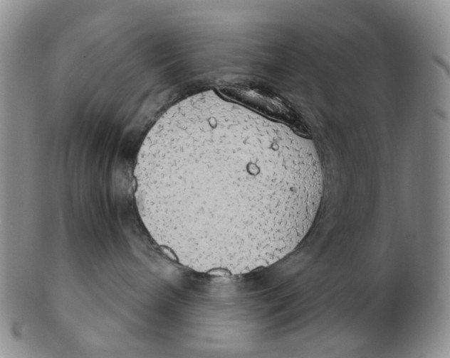 X0000102770240200809081012