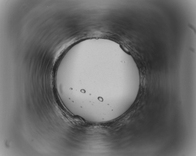 X0000102770244200809081011