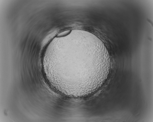 X0000102770245200809081011