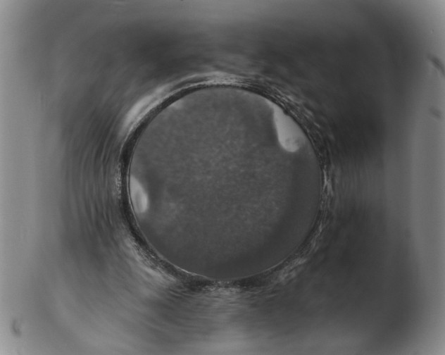 X0000102770247200809081011