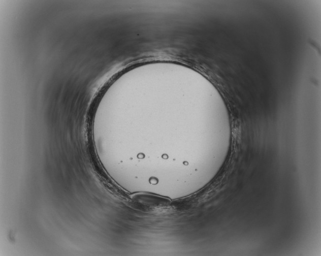 X0000102770248200809081011