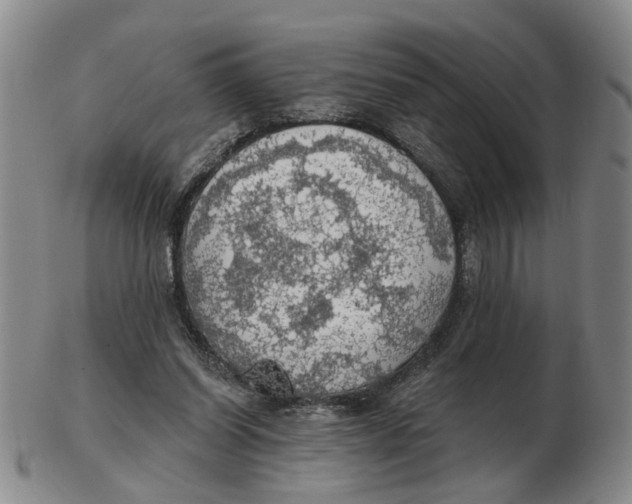 X0000102770254200809081011