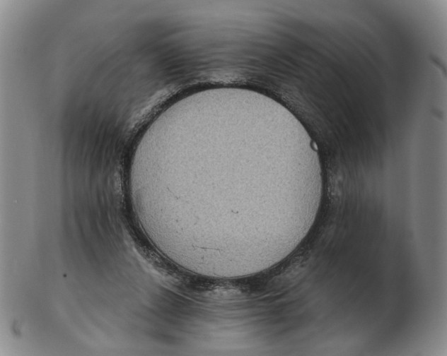 X0000102770256200809081011