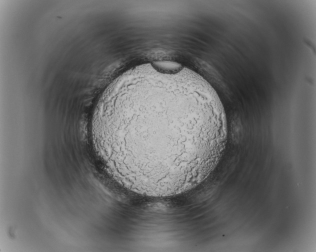 X0000102770259200809081011