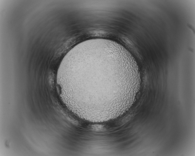 X0000102770265200809081011