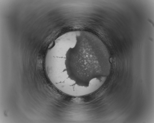 X0000102770269200809081011