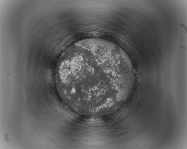 X0000102770270200809081011