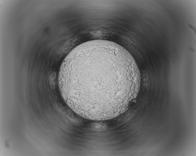 X0000102770275200809081011