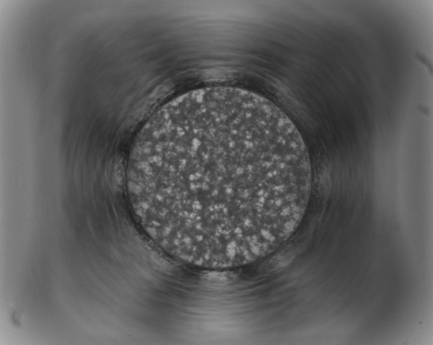 X0000102770277200809081011