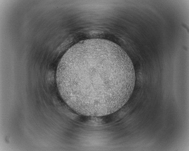 X0000102770278200809081011