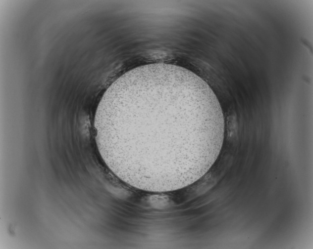 X0000102770279200809081011