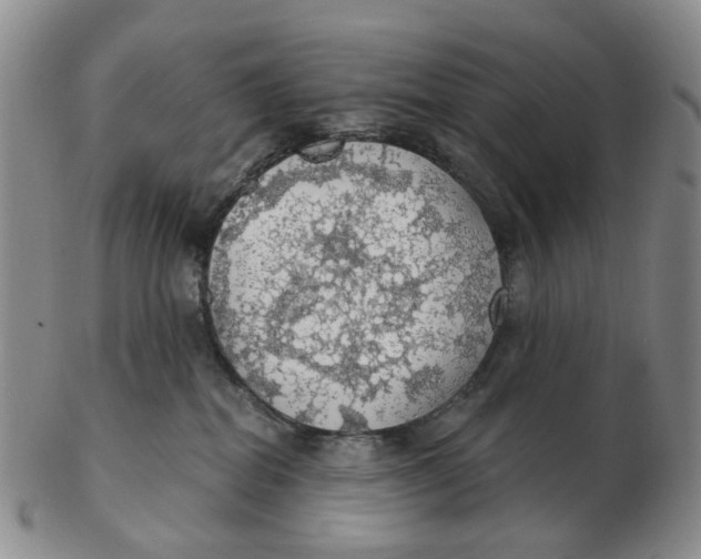 X0000102770282200809081011