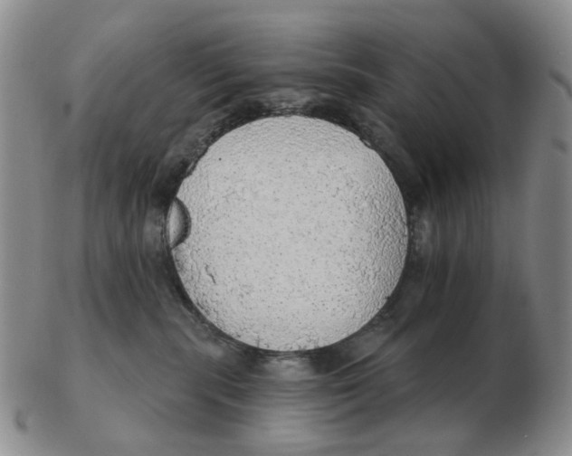 X0000102770283200809081011