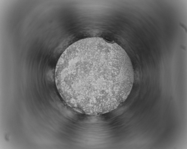 X0000102770286200809081011