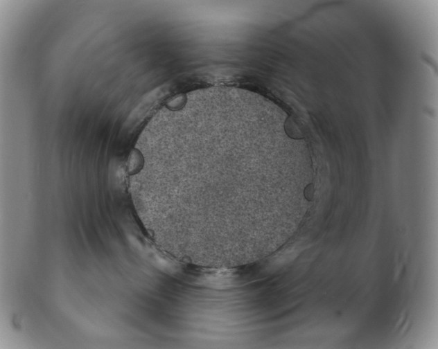 X0000102770288200809081011